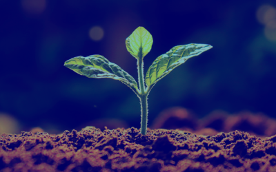 Sustainability: Small Changes Can Make a Big Difference